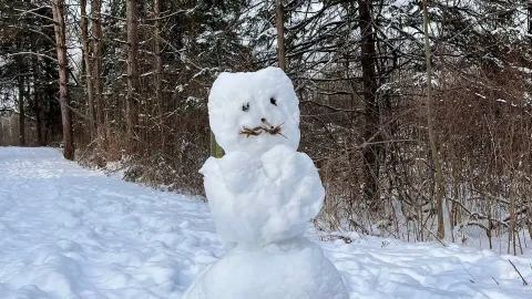 デュンダス DUNDAS|雪中ハイキング体験日記|Dundas Valley Conservation Area攻略 — traveler post in ハミルトン