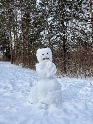 デュンダス DUNDAS｜雪中ハイキング体験日記｜Dundas Valley Conservation Area攻略