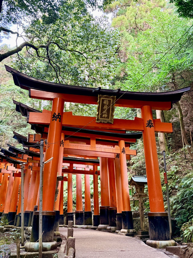 교토 가서 여기 안 가면 100% 후회함? 후시미 이나리 총정리 ⛩️