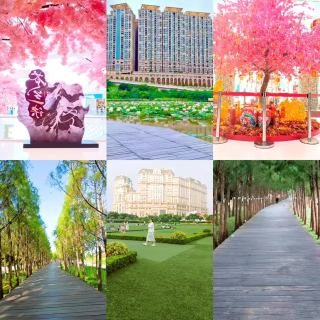 Macau’s Secret Garden Escapes: City Detox Under Sakura & Skyscrapers 🌸🌆