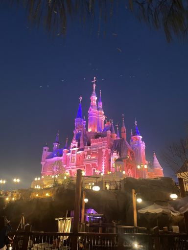 上海ディズニーランドのレビュー。 | Trip.com 上海