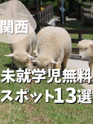 【關西】13個學前兒童免費好去處。