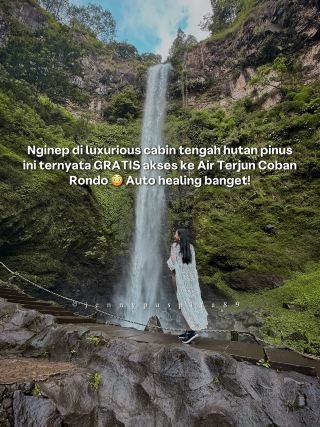 Stay in a cabin in the middle of a pine forest, with FREE access to a waterfall.