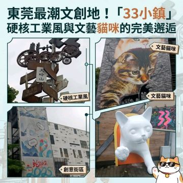 東莞最潮文創地！「33小鎮」硬核工業風與文藝貓咪的完美邂逅｜Trip.com