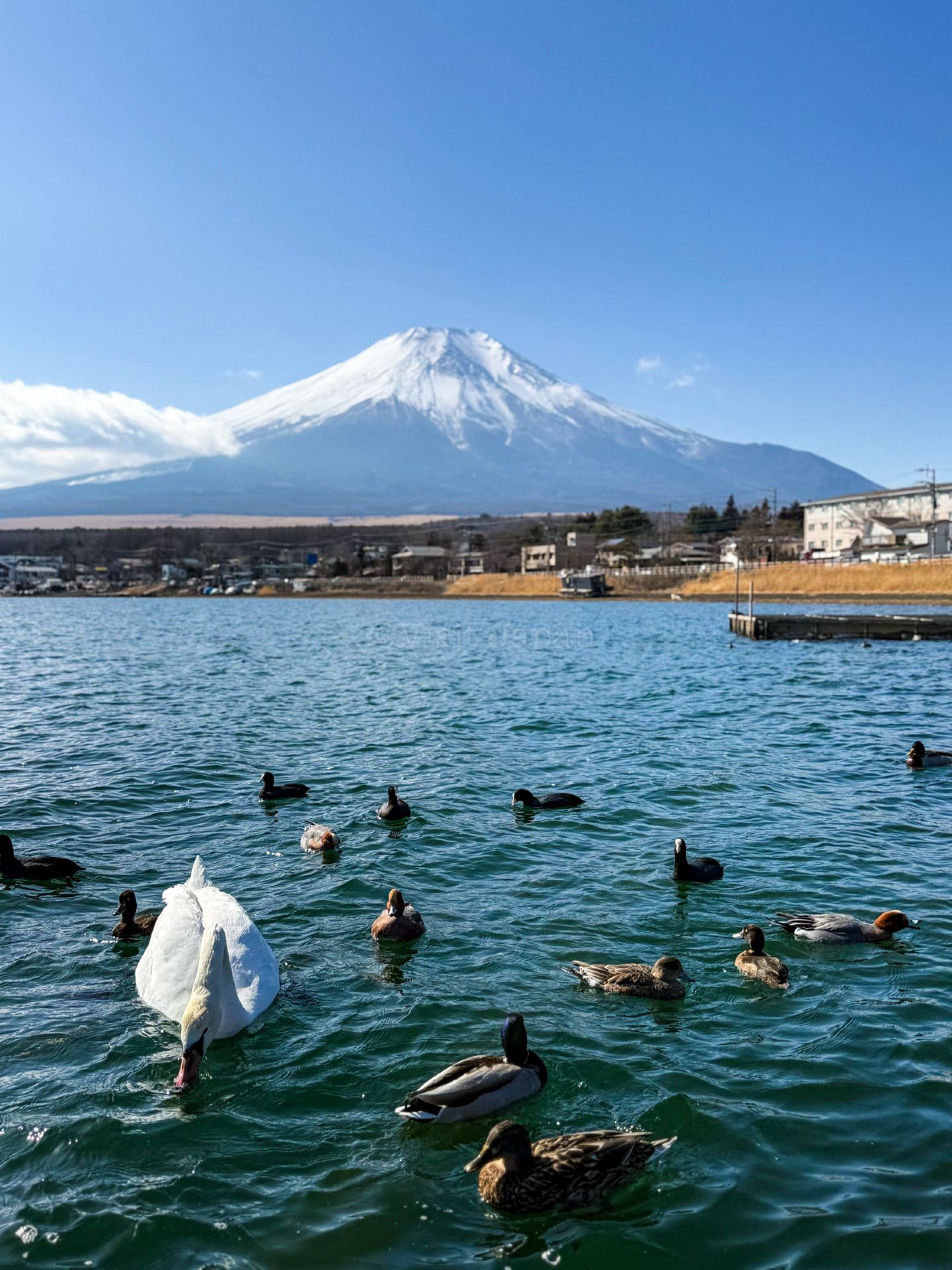 A One-Day Driving Tour "Around Fuji"