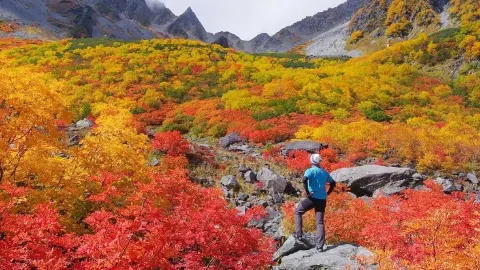 Crimson Peaks and Golden Valleys: The Autumn Escape in Daisetsuzan, Hokkaido — traveler post in Sapporo