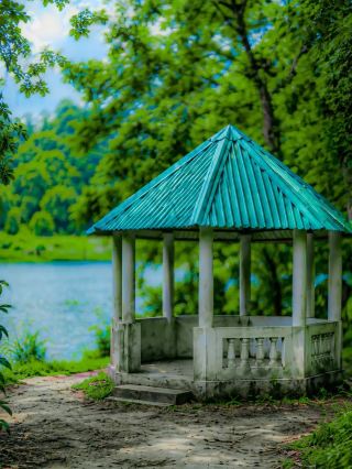 【バングラデシュ】緑あふれる絶景と美しすぎる花々に癒やされる旅
