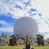 Walt Disney World Resort