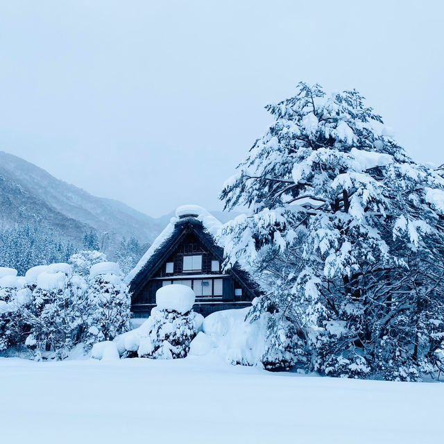 【岐阜県🇯🇵】一度は行ってみたい‼️冬の白川郷☺️