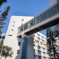 Visiting The Chinese University of Hong Kong