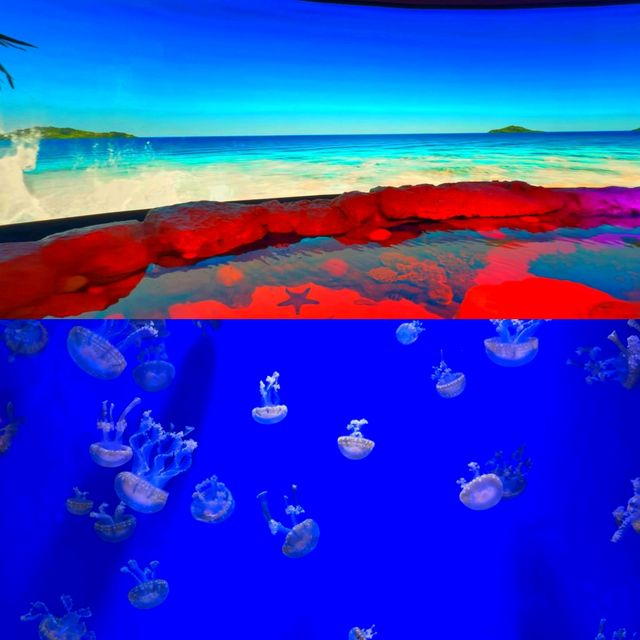 SEA LIFE Bangkok Ocean World
