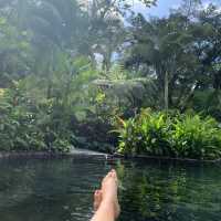 Arenal volcano hot springs 🌋🌋