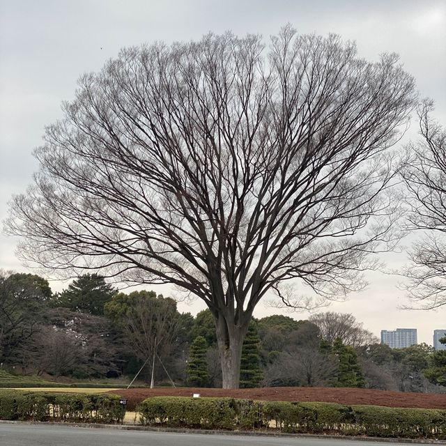 Fall view of Imperial palace