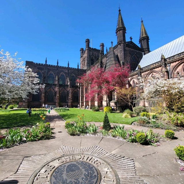 🌺春天的櫻花聖堂🌸Chester Cathedral