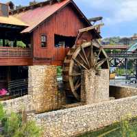 Portaventura pleasure