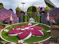 Miracle Garden Dubai 🗺️