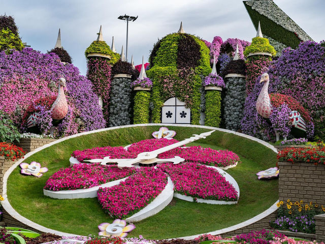 Miracle Garden Dubai 🗺️