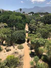 Vibrant Traditions in Mexico's Oaxaca City