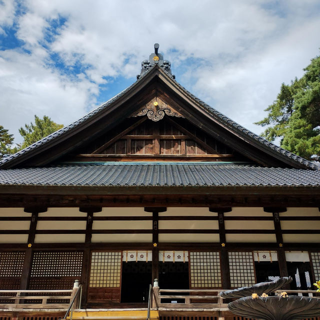 Oyama Shine, Kanazawa 🇯🇵