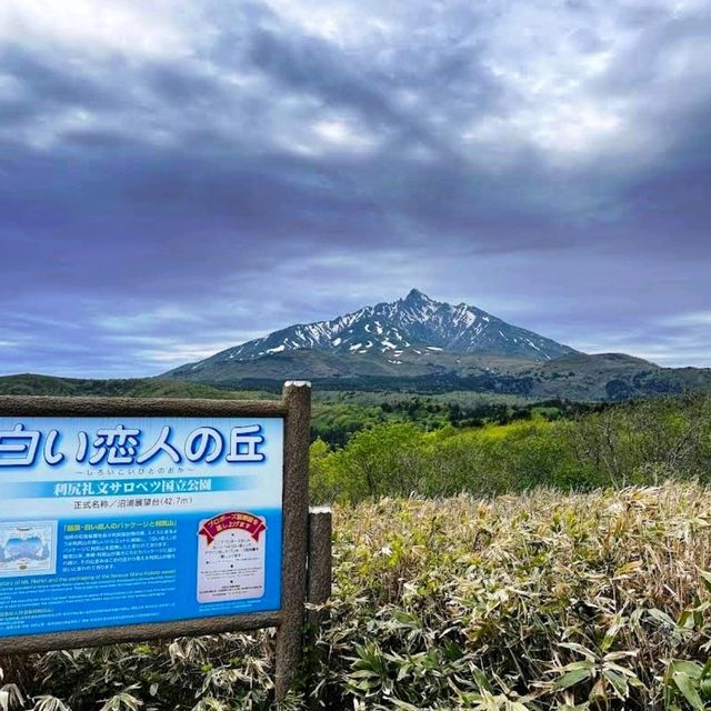 🍫白色戀人公園🍦體驗幸福和甜蜜的主題公園🧁