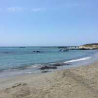 The pink sand of Elafonisi Beach 🇬🇷