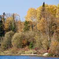Symphony of Fall Colors at Red Lake 🍁