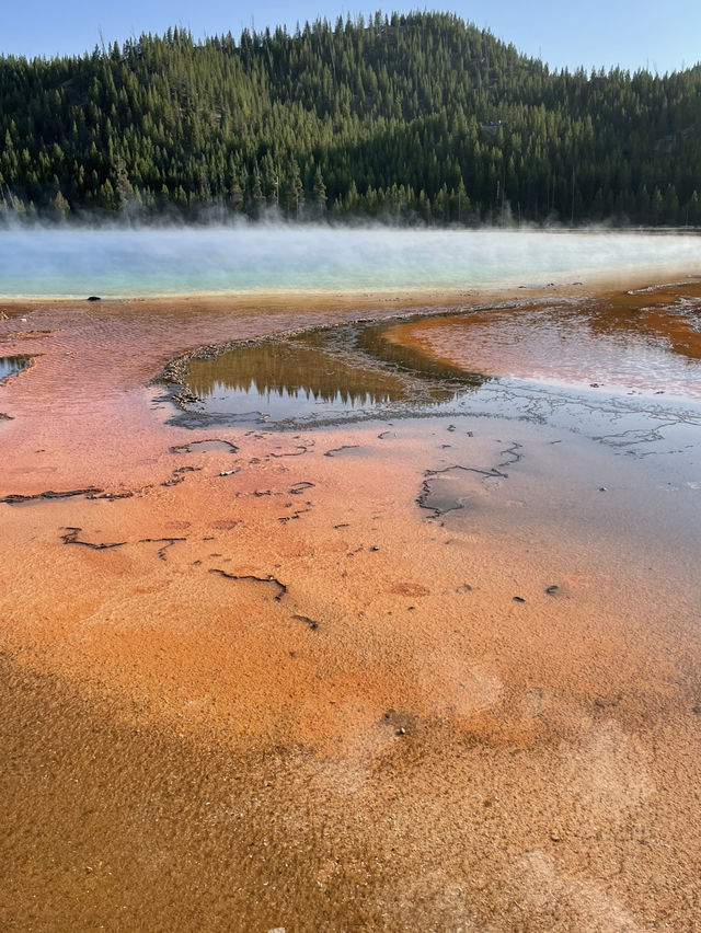 Yellowstone National Park – Nature’s Ultimate Theme Park! 🌋