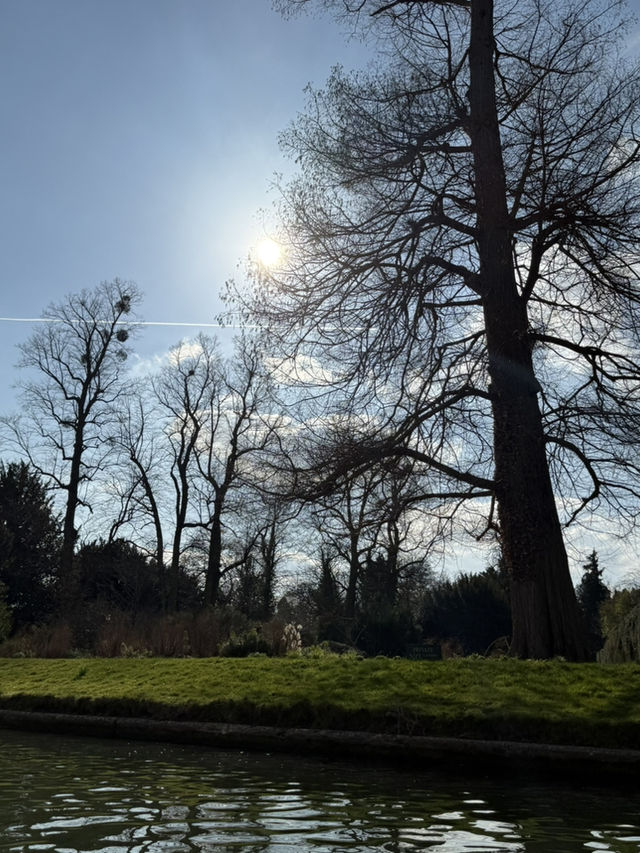 Cambridge 