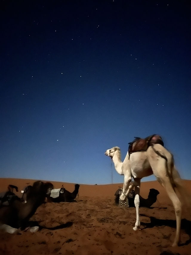 Starlit Silence: A Night to Remember in Merzouga's Sahara