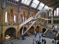 Discovering the Natural World: Reflections on Natural History Museum