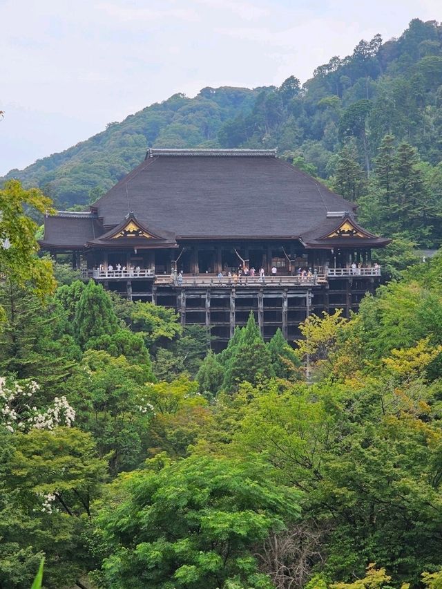 📅 Kyoto 3-Day Itinerary for First-Time Visitors