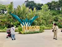 Junglia Okinawa Theme Park Review: A Paradise of Fun, Food, and Relaxation