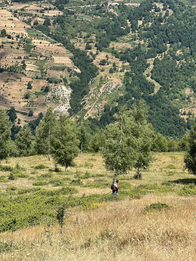 Lost in the mountains, found in Shishtavec 🌳  Lost in the mountains, found in Shishtavec 🌳