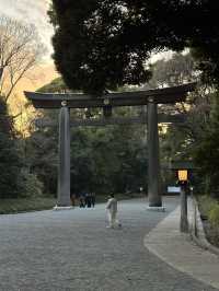 Tokyo and Kyoto: where pop culture, street food, and peaceful shrines collide
