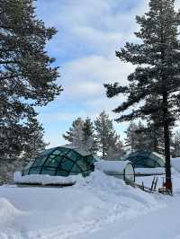 Finland | Stay in a glass igloo and enjoy the night 