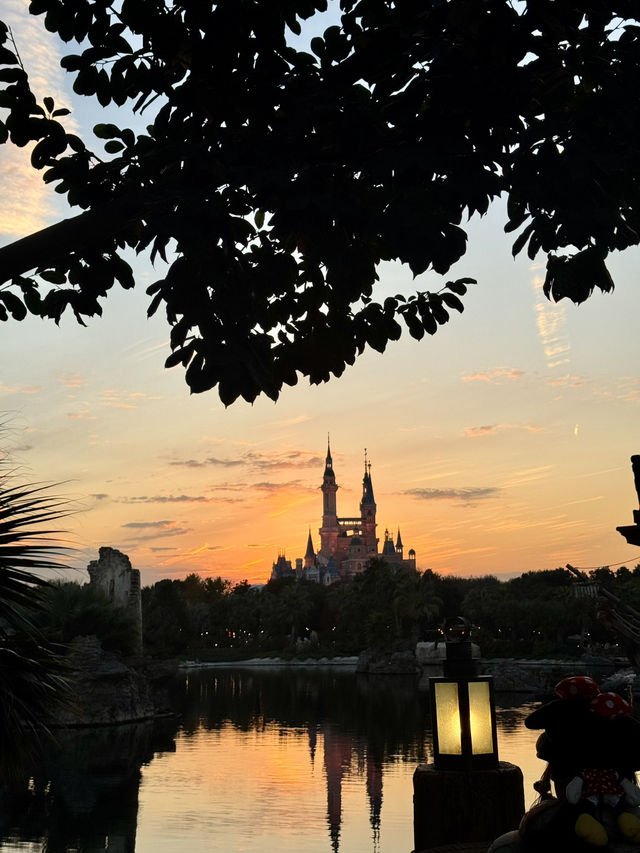 Шанхайский Диснейленд ✨