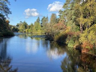 베지베리 국립 소나무 숲 및 삼림