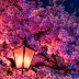 Nova_Skyfall_42