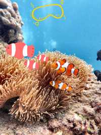 Thailand | Phuket Island | Romantic Beach, Diving, Ideal for Couples