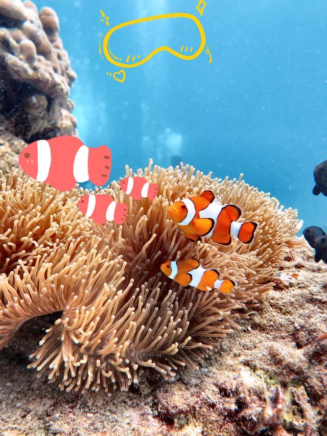 Thailand | Phuket Island | Romantic Beach, Diving, Ideal for Couples