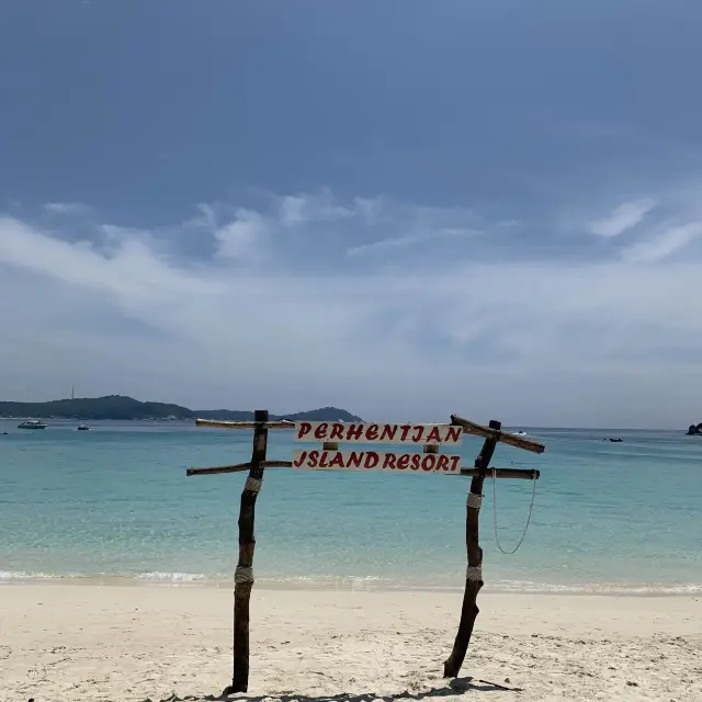 Snorkel with baby sharks!