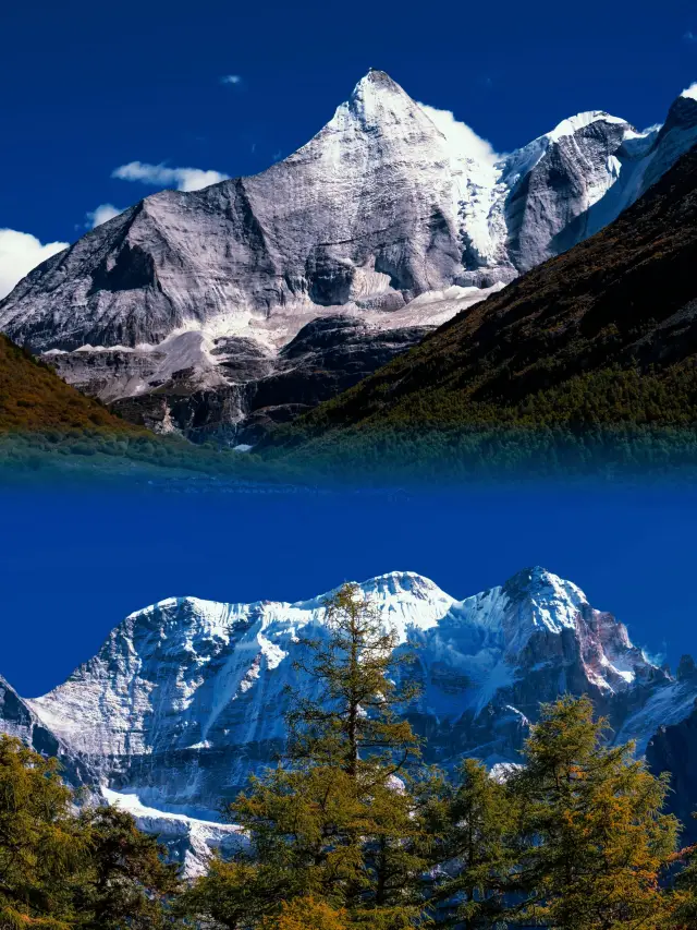 90% of tourists to Daocheng Yading miss this spot at Yangmaiyong