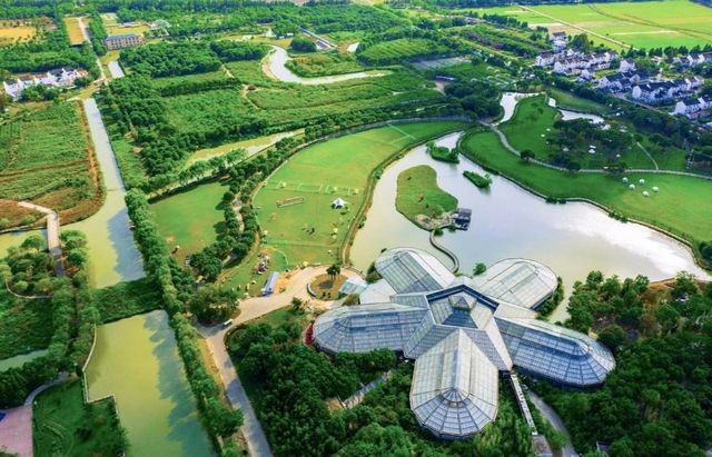 上海金山廊下郊野公園：大自然的寧靜與美景