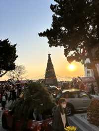 🎄Festive Season in Qingdao 🎄