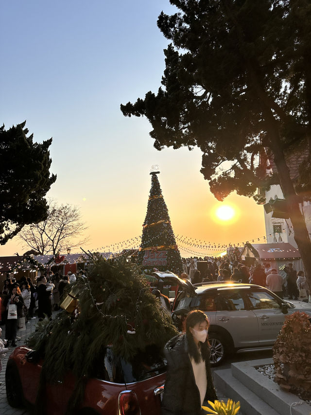 🎄Festive Season in Qingdao 🎄