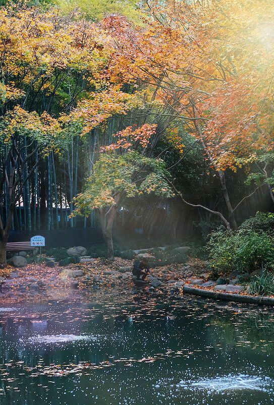 你很難想像這是「上海的秋天」太太太令人心動了