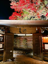 Tenzan Onsen's Forest Retreat
