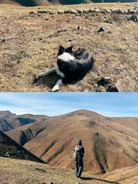 手斷了也要去的大海草山! (手骨折版)