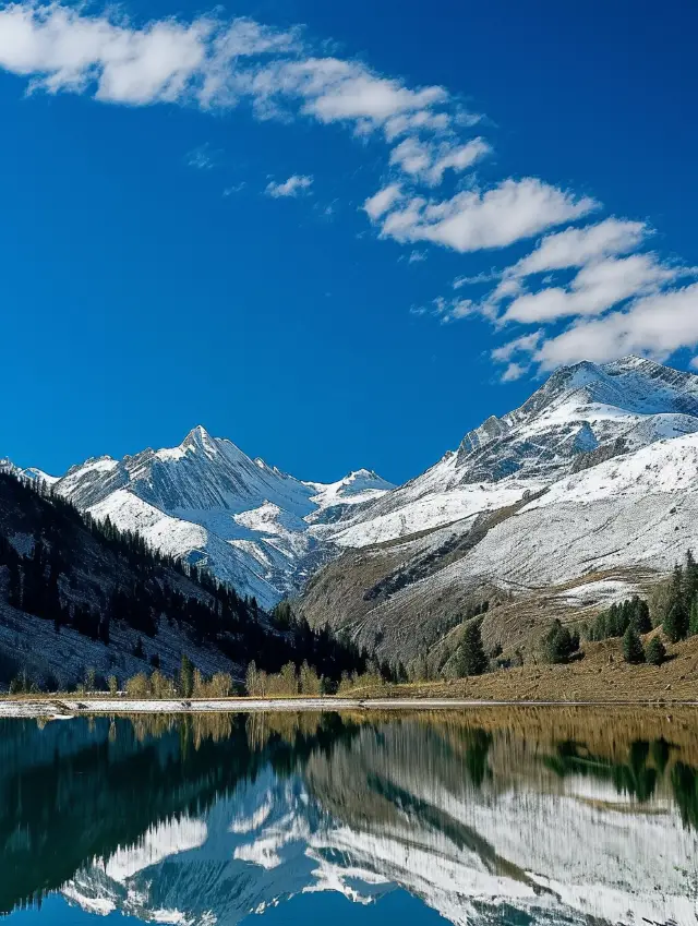 Winter Wonderland: Mount Siguniang dressed in silver, breathtakingly beautiful