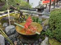 京都景點｜瑞巌山 圓光寺